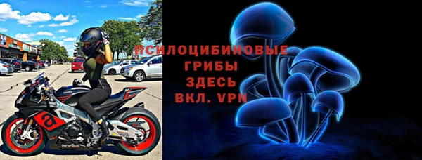 винт Богородицк